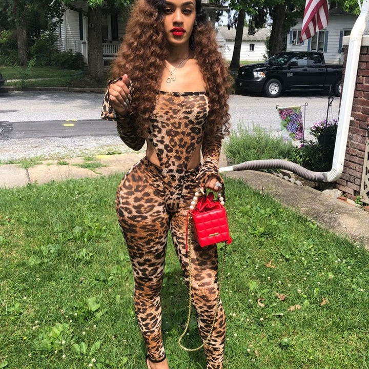 Leopard Print Bodysuit & Pants Set